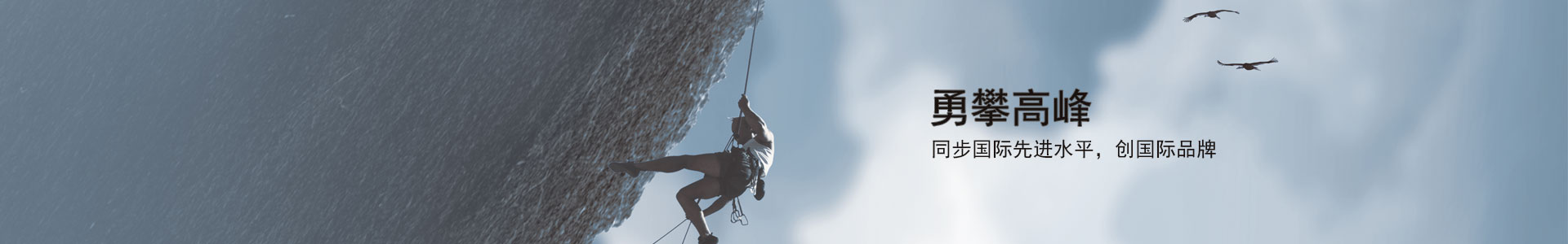 新2手机登录地址